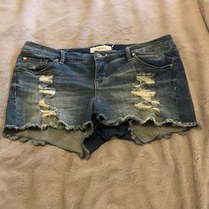 TORRID SHORTS
